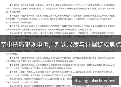 空中技巧犯规申诉,判罚尺度与证据链成焦点 空中技巧犯规申诉,判罚尺度与证据链成焦点